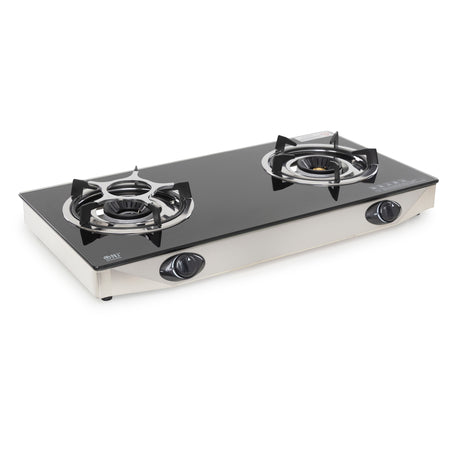 Home kitchen restaurant gas cooker with 2 powerful burners